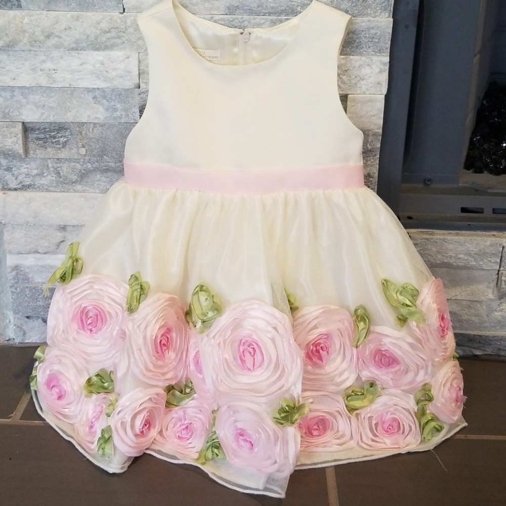 American Princess gorgeous dress